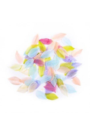 Plunksnos žąsies 6cm 5g pastelinės