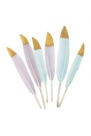 Plunksnos dekoratyvinės PILKOS+MINT 6vnt.