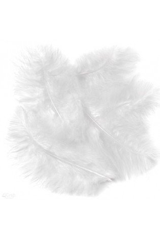 Plunksnos kalakuto 15cm 5vnt baltos