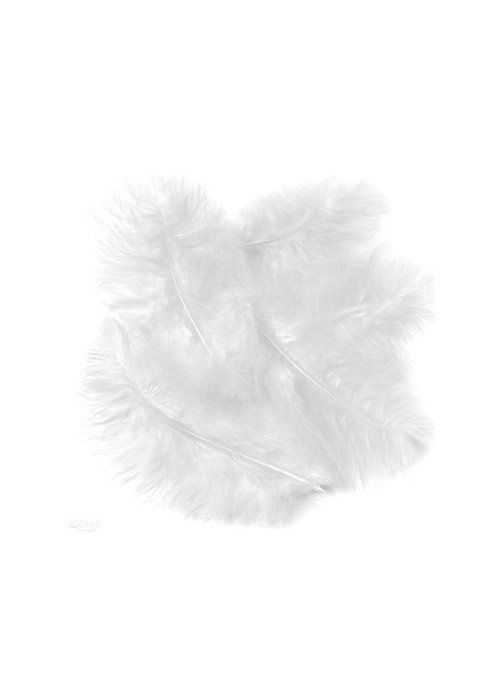 Plunksnos kalakuto 15cm 5vnt baltos