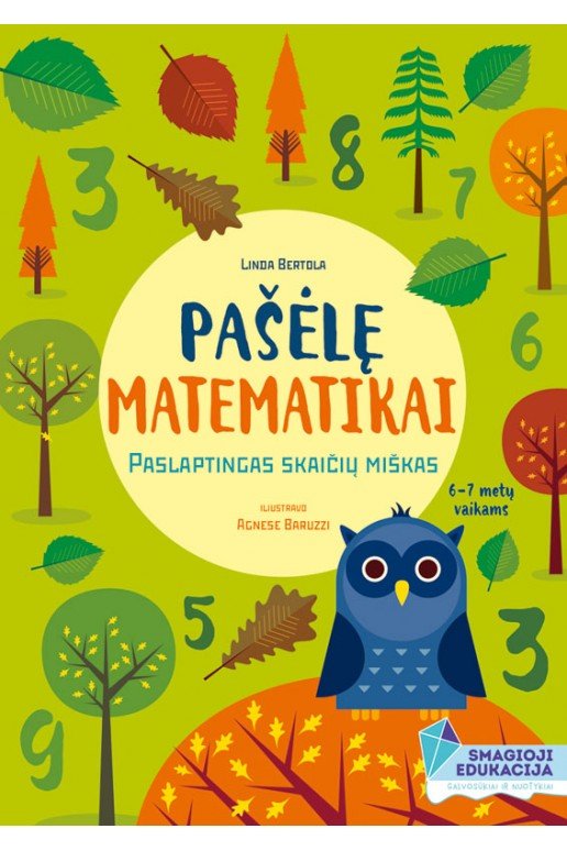 Matematinės užduotys „Pašėlę matematikai. Paslaptingas skaičių