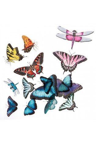 Lipdukai matiniai BUTTERFLIES