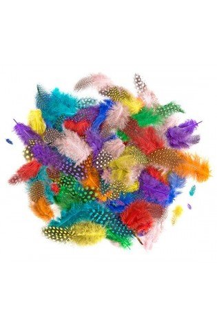 Plunksnos 4-7cm 10g ryškios mix sp