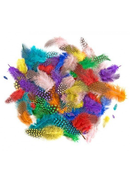 Plunksnos 4-7cm 10g ryškios mix sp