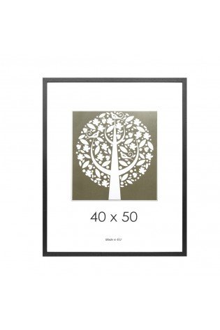 Rėmelis 40x50cm tams.medžio sp.