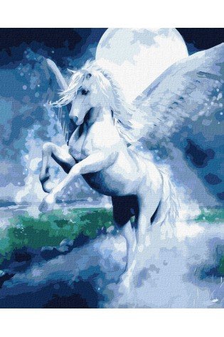 Tapyba pagal skaičius: PASAKIŠKAS PEGASAS 40x50 dėžutėje