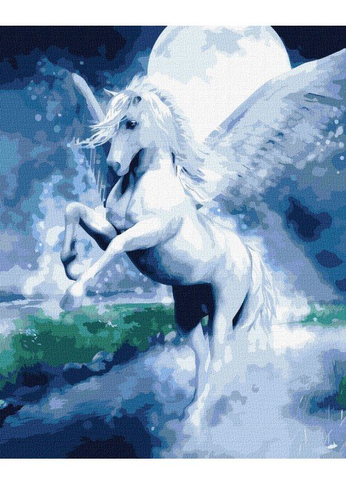 Tapyba pagal skaičius: PASAKIŠKAS PEGASAS 40x50 dėžutėje