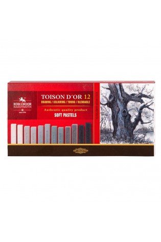 Sausų pastelių rinkinys 12vnt pilkų atsp.8592G