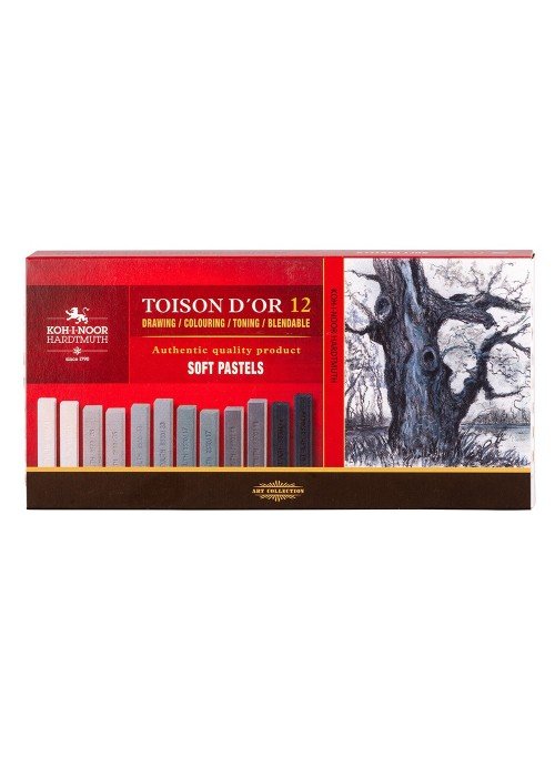 Sausų pastelių rinkinys 12vnt pilkų atsp.8592G