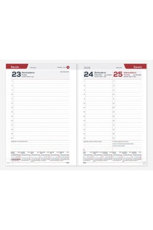 Darbo knyga A5 DAY aura