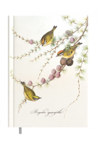 Darbo knyga A5 DAY little birds