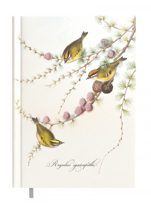 Darbo knyga A5 DAY little birds