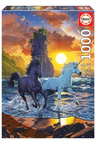 Dėlionė (puzzle) 1000 VEINARAGIAI PAPLŪDYMYJE 12-99 metų