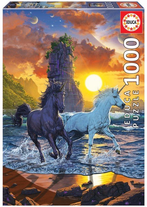 Dėlionė (puzzle) 1000 VEINARAGIAI PAPLŪDYMYJE 12-99 metų