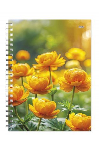 Darbo knyga B6 KANCLER SPIRAL globeflower