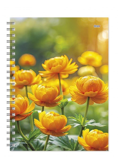 Darbo knyga B6 KANCLER SPIRAL globeflower