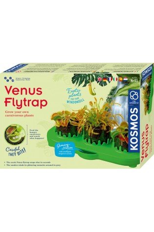 Lavinamasis rinkinys VENUS FLYTRAP 8-11