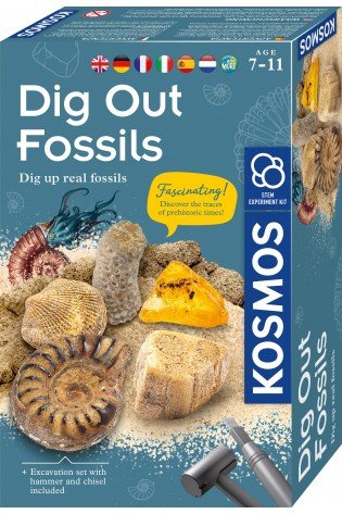 Lavinamasis rinkinys DIG OUT FOSSILS 7-11