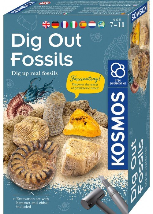 Lavinamasis rinkinys DIG OUT FOSSILS 7-11