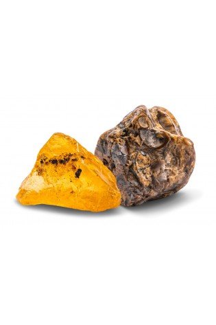 Lavinamasis rinkinys DIG OUT FOSSILS 7-11
