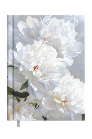 Darbo knyga B6 KANCLER white dream