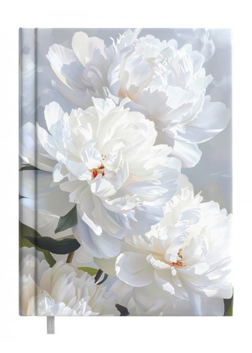 Darbo knyga B6 KANCLER white dream