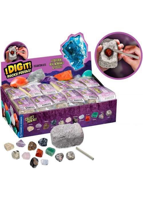 Detalės DIG lt! MINERALS & FOSSILS 5+