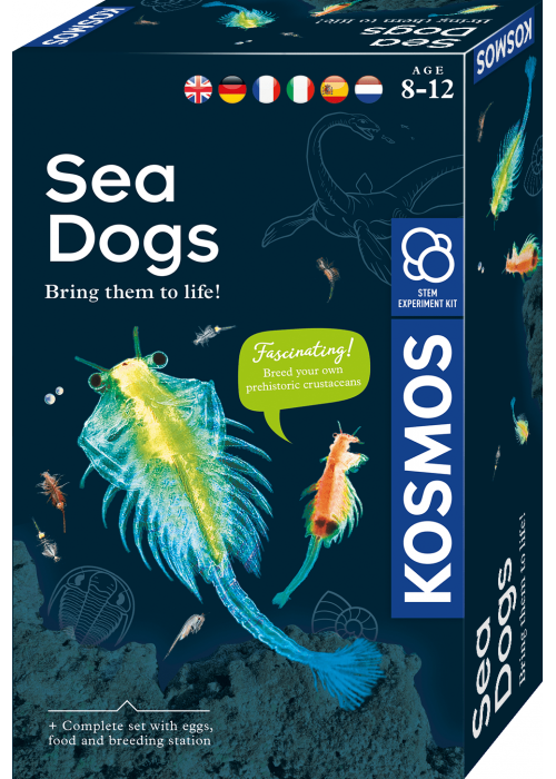 Lavinamasis rinkinys SEA DOGS 8-12 LT, LV, EE