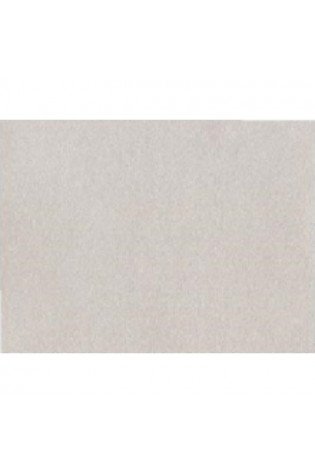 Lipnus popierius A4/ 10l PROTOS sidabrinis