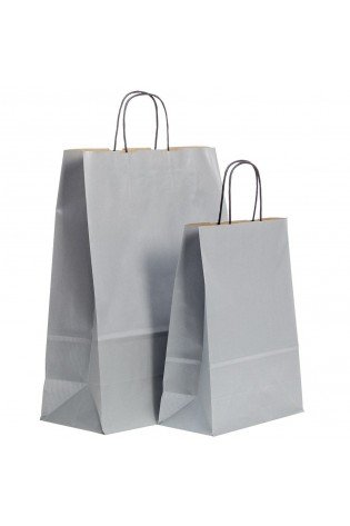 Pop.maišelis Twist 240x110x310 sidabrinis