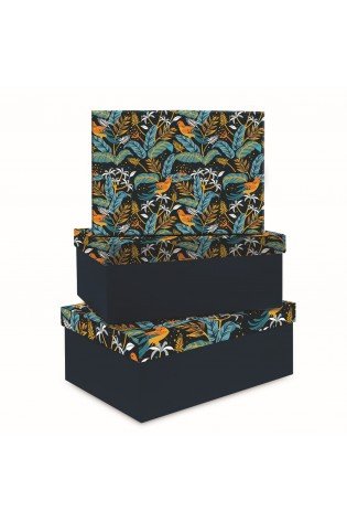 Dėžutės TROPICAL 3vnt mėlynos 295X220X110 260X190X105 230X160X100mm