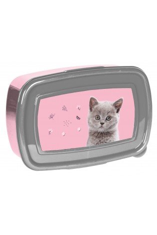 Dėžutė CAT PP24CT-3022