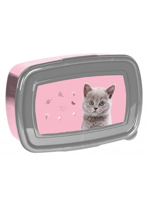 Dėžutė CAT PP24CT-3022