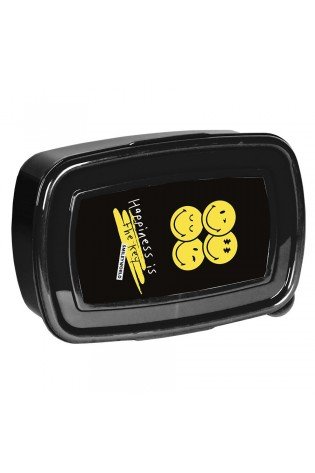 Dėžutė SMILEY SM24LK-3022