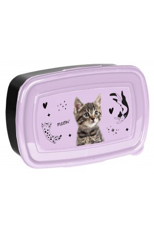 Dėžutė CAT PP25CE-3022