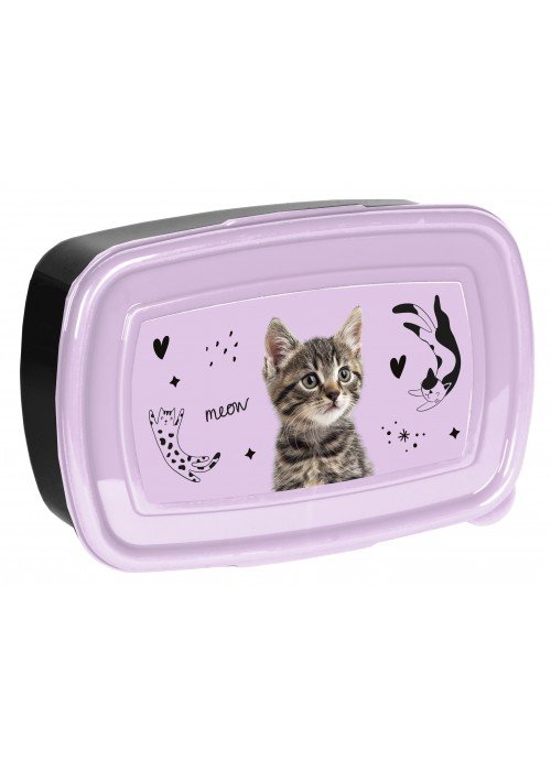 Dėžutė CAT PP25CE-3022