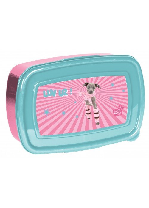 Dėžutė PETS DOG PT25CH-3022