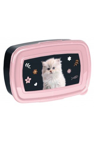 Dėžutė CAT PP25CO-3022