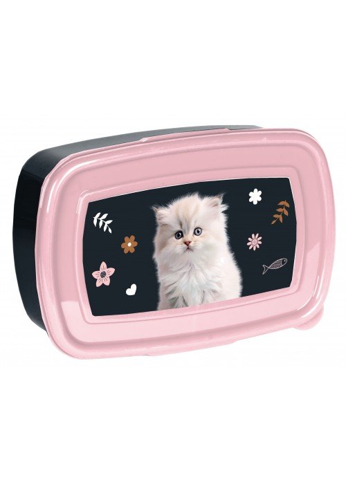 Dėžutė CAT PP25CO-3022