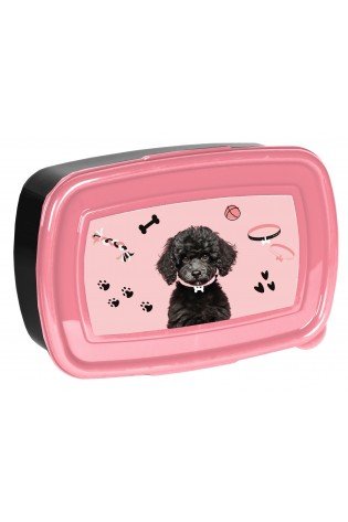 Dėžutė DOG PP25DB-3022