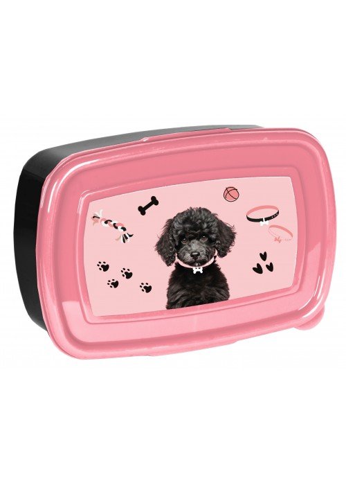 Dėžutė DOG PP25DB-3022