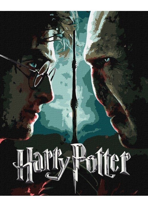 Tapyba pagal skaičius: „HARIS POTERIS“ Haris ir Voldemortas Warner Bros 40x50 dėžutėje