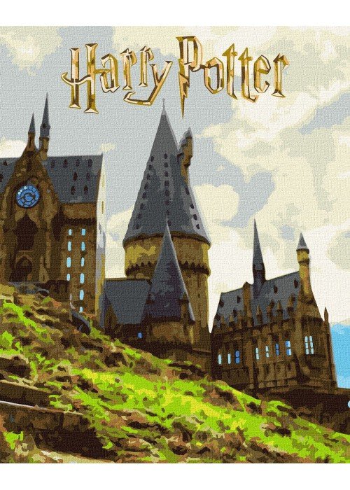 Tapyba pagal skaičius: "HARIS PORETIS" Hogvartas su metaliko dažais Warner Bros 40x50 dėžutėje