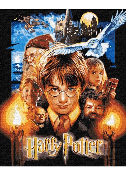 Tapyba pagal skaičius: "HARIS POTERIS" plakatas su metaliko dažais Warner Bros 40x50 dėžutėje