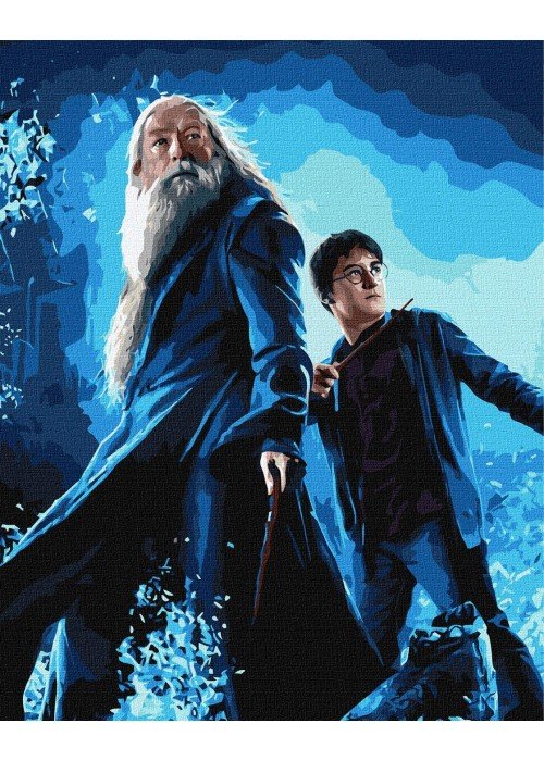 Tapyba pagal skaičius: "HARIS POTERIS" Haris ir Dumdledoras Warner Bros 40x50 dėžutėje
