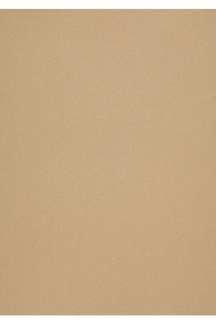 Popier.A4 CM 120g.Gold Leaf 408161