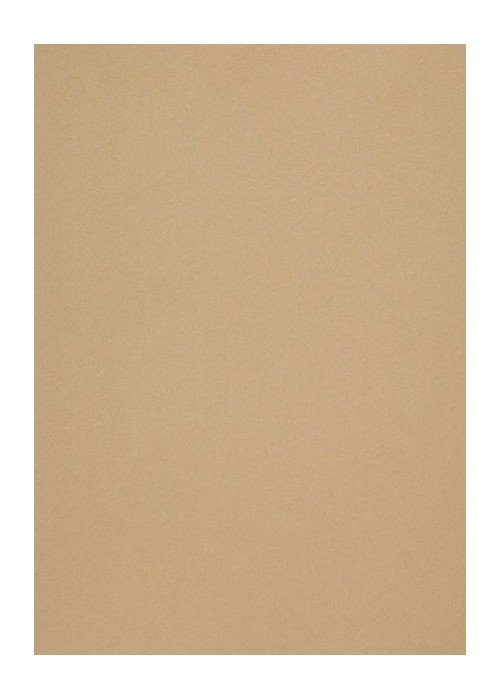 Popier.A4 CM 120g.Gold Leaf 408161