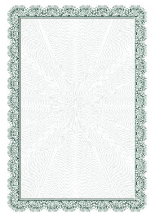 Dipl.popierius 170g Arnika