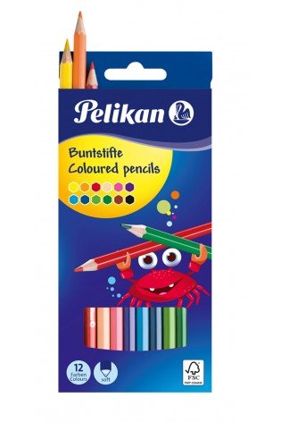 Pieštukai spalvoti 12sp